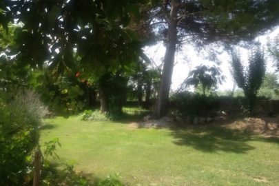 20170714_115628