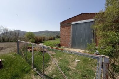 IMG_20220429_121939