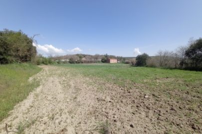 IMG_20220429_120558