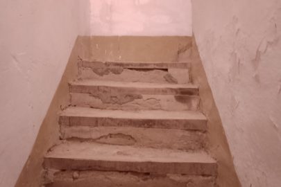 IMG_20221122_162520