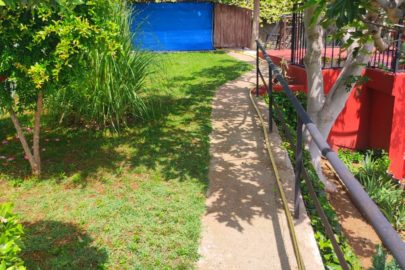 Parte de atras jardín